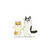 Colin_Lee
